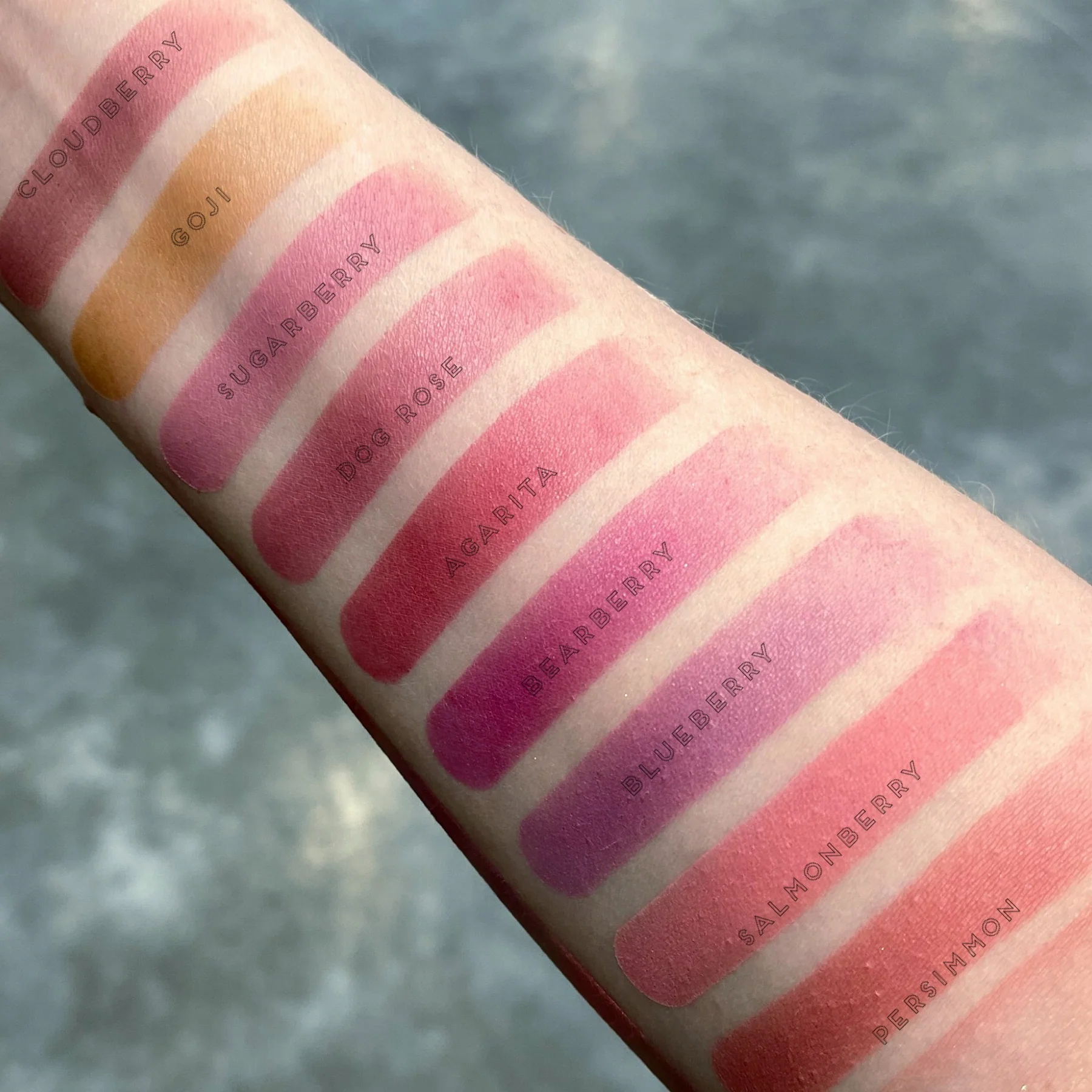 Goji Soft Matte Blush Single - Image 6