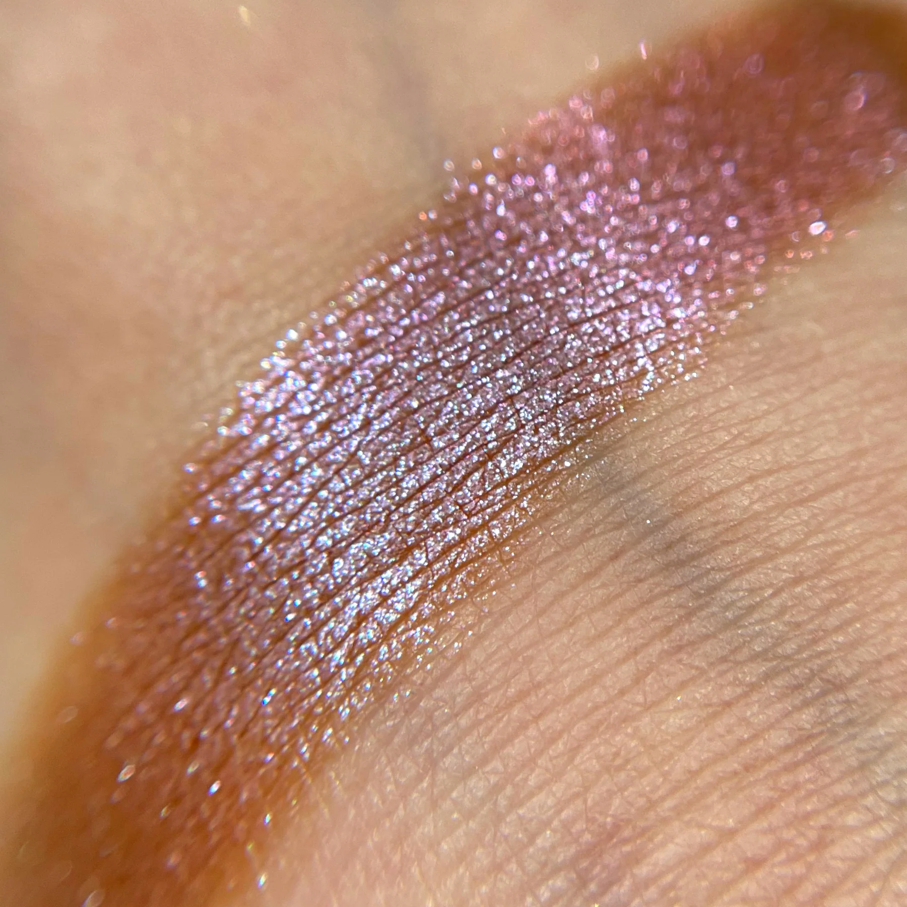 Koala Hugs Chameleon Artistry Pigment - Image 2